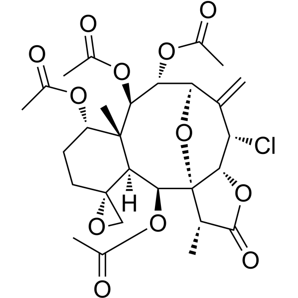 Praelolide